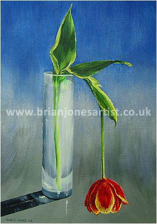 Gallery of paintings by Brian jones, Landscapes and Still Life