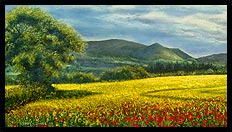 SOLD | Brian Jones - Landscape and Still Life Artist based in Mid Wales