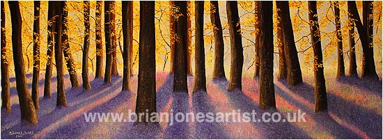Gallery of paintings by Brian jones, Landscapes and Still Life
