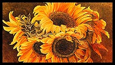 Sunflowers | Brian Jones - Landscape and Still Life Artist based in Mid Wales