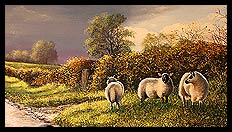 After the Shower | Brian Jones - Landscape and Still Life Artist based in Mid Wales