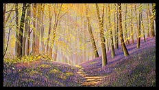The Bluebell Path | Brian Jones - Landscape and Still Life Artist based in Mid Wales