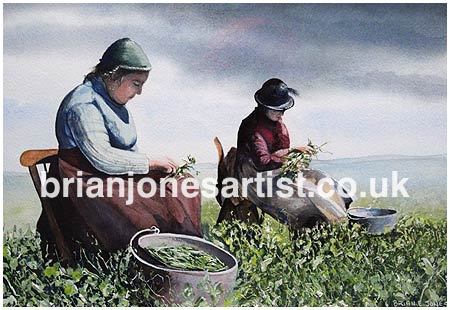 Gallery of paintings by Brian jones, Landscapes and Still Life