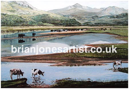 Gallery of paintings by Brian jones, Landscapes and Still Life