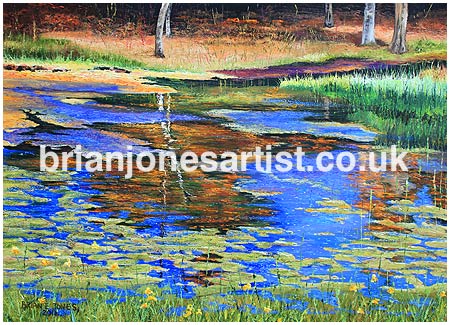 Gallery of paintings by Brian Jones, Landscapes and Still Life
