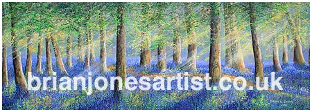 Gallery of paintings by Brian Jones, Landscapes and Still Life
