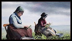 Brian Jones - Landscape and Still Life Artist based in Mid Wales
