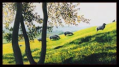 Brian Jones - Landscape and Still Life Artist based in Mid Wales