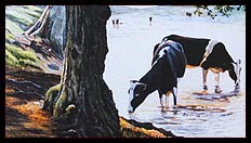 Brian Jones - Landscape and Still Life Artist based in Mid Wales