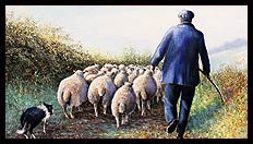 Brian Jones - Landscape and Still Life Artist based in Mid Wales
