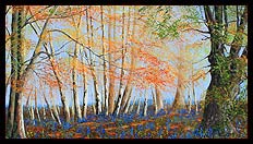 Brian Jones - Landscape and Still Life Artist based in Mid Wales
