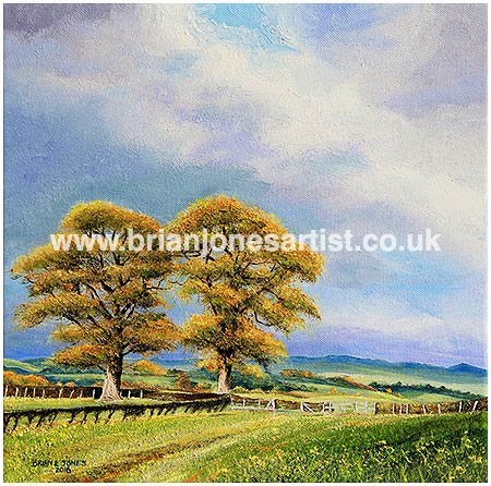 Gallery of paintings by Brian jones, Landscapes and Still Life