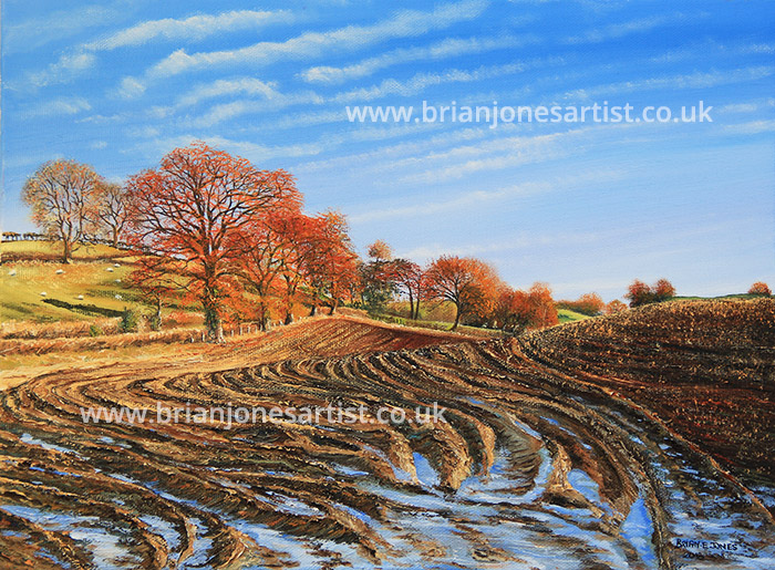 Gallery of paintings by Brian jones, Landscapes and Still Life