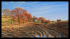 Prints | Brian Jones - Landscape and Still Life Artist based in Mid Wales