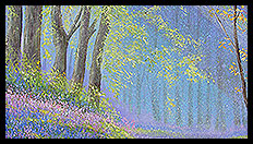Prints | Brian Jones - Landscape and Still Life Artist based in Mid Wales