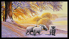 Prints | Brian Jones - Landscape and Still Life Artist based in Mid Wales
