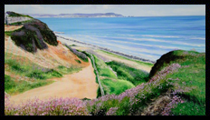Prints | Brian Jones - Landscape and Still Life Artist based in Mid Wales