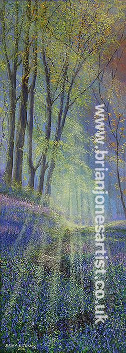 Gallery of paintings by Brian jones, Landscapes and Still Life